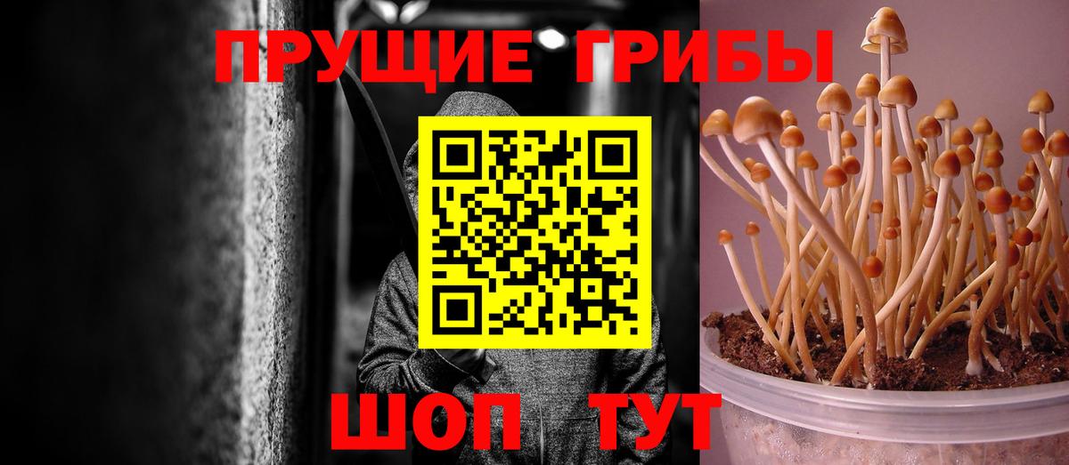 Галлюциногенные грибы Psilocybe  Вход с VPN  Галлюциногенные грибы Psilocybine cubensis  Самара 