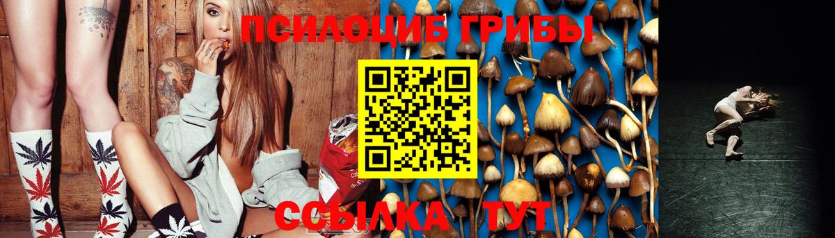 Псилоцибиновые грибы Cubensis Самара